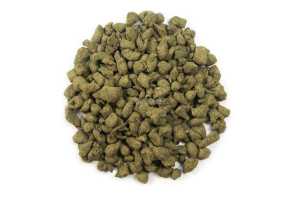 Oolong Ginsen